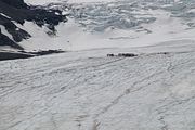 10 - Columbia Icefield - IMG_0988